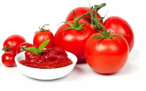 تصویر 2 از خرید و قیمت رب گوجه فرنگی دلند + فروش عمده